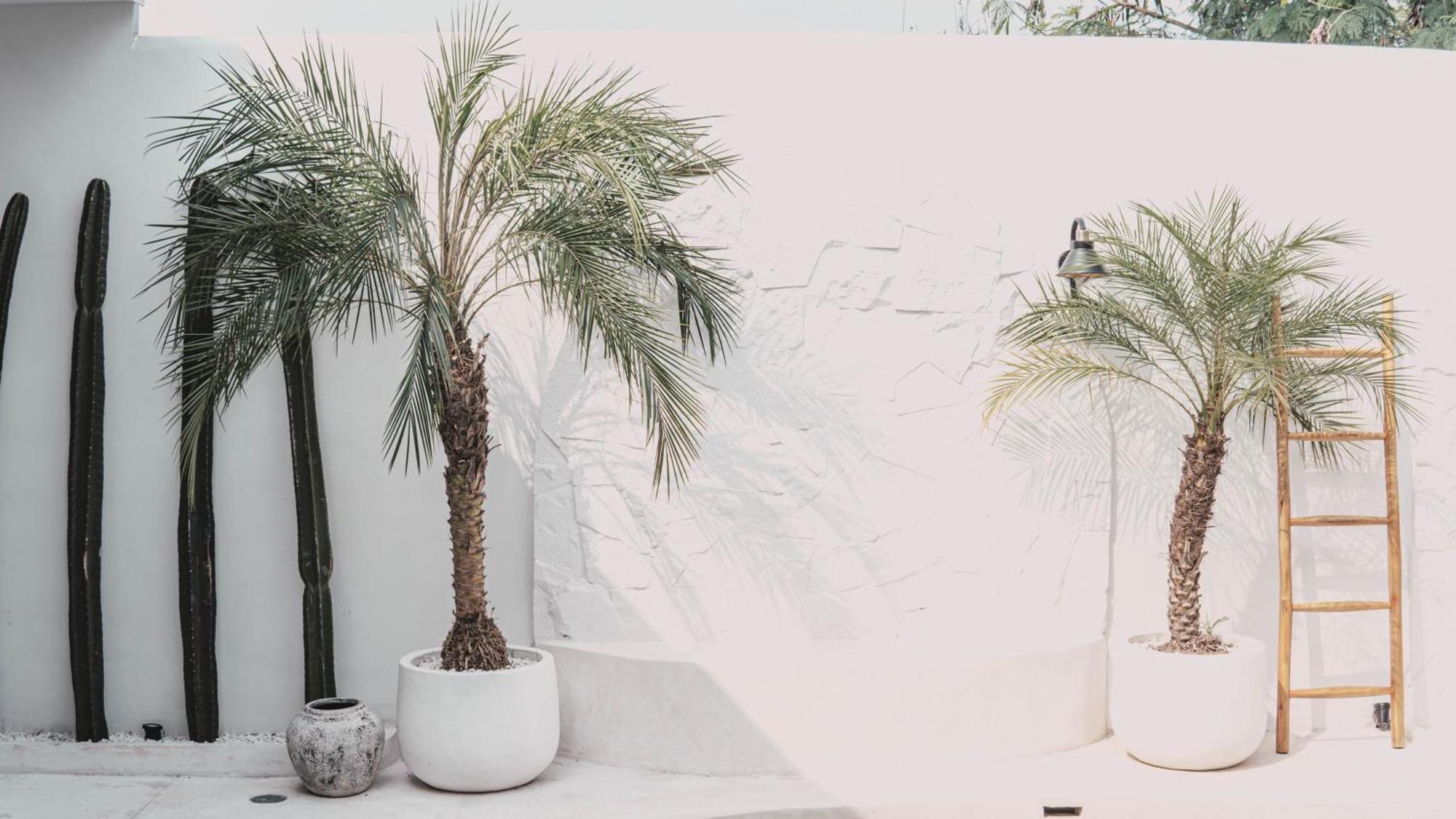 Bohemian Jogja Villas With Private Pool Kejayan 外观 照片